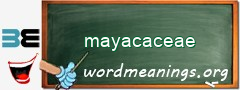 WordMeaning blackboard for mayacaceae